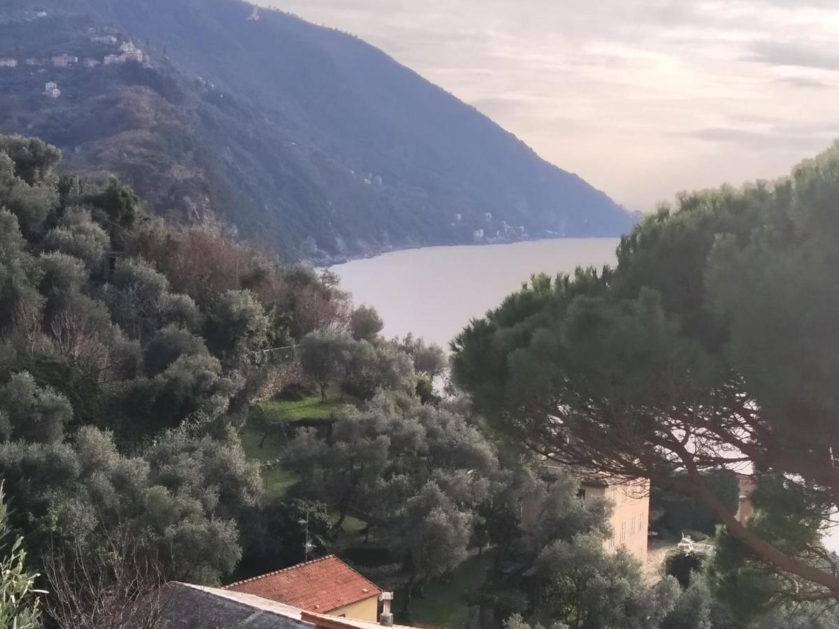 Villa San Prospero Camogli Bagian luar foto