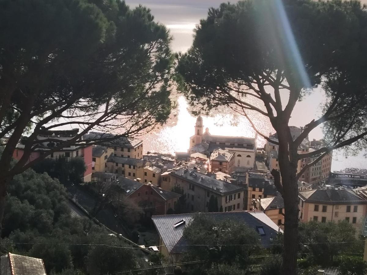 Villa San Prospero Camogli Bagian luar foto