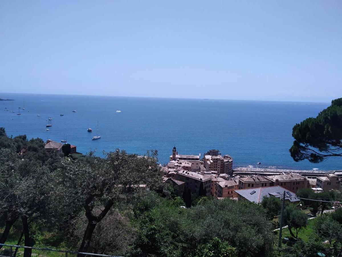 Villa San Prospero Camogli Bagian luar foto