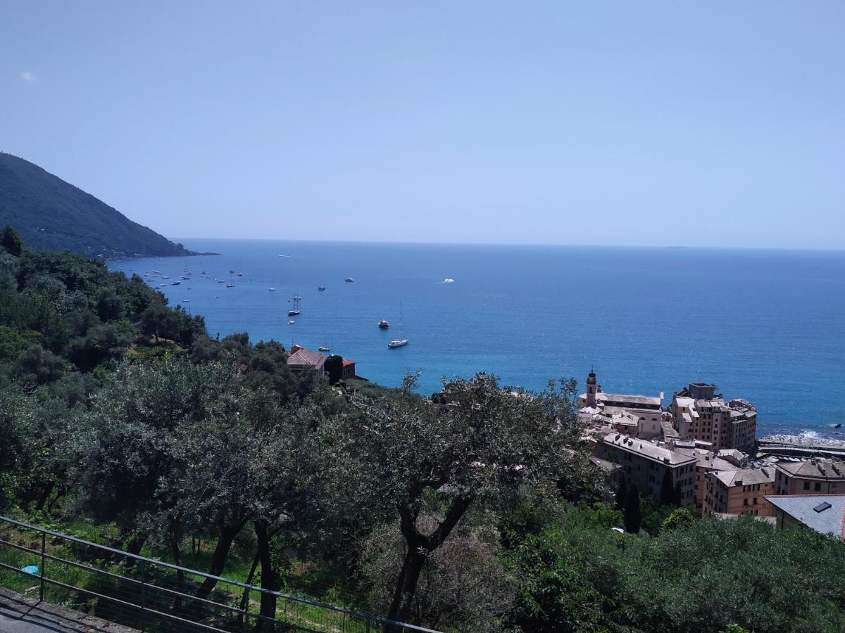 Villa San Prospero Camogli Bagian luar foto