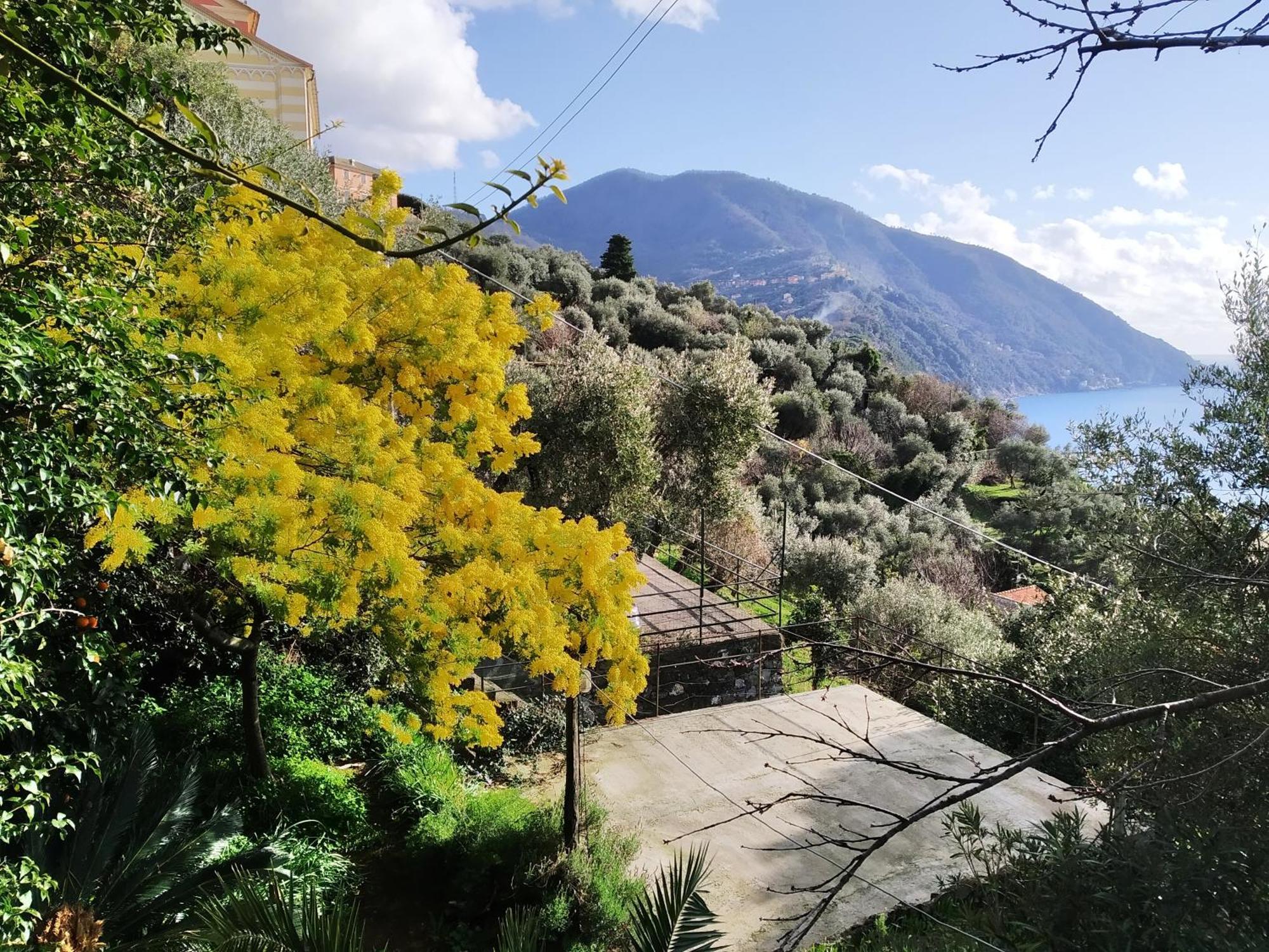 Villa San Prospero Camogli Ruang foto