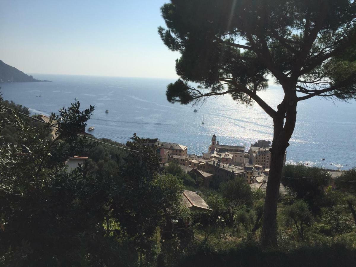 Villa San Prospero Camogli Bagian luar foto