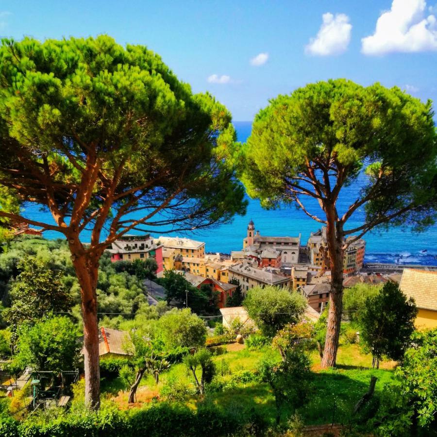 Villa San Prospero Camogli Bagian luar foto
