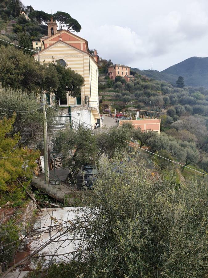 Villa San Prospero Camogli Bagian luar foto