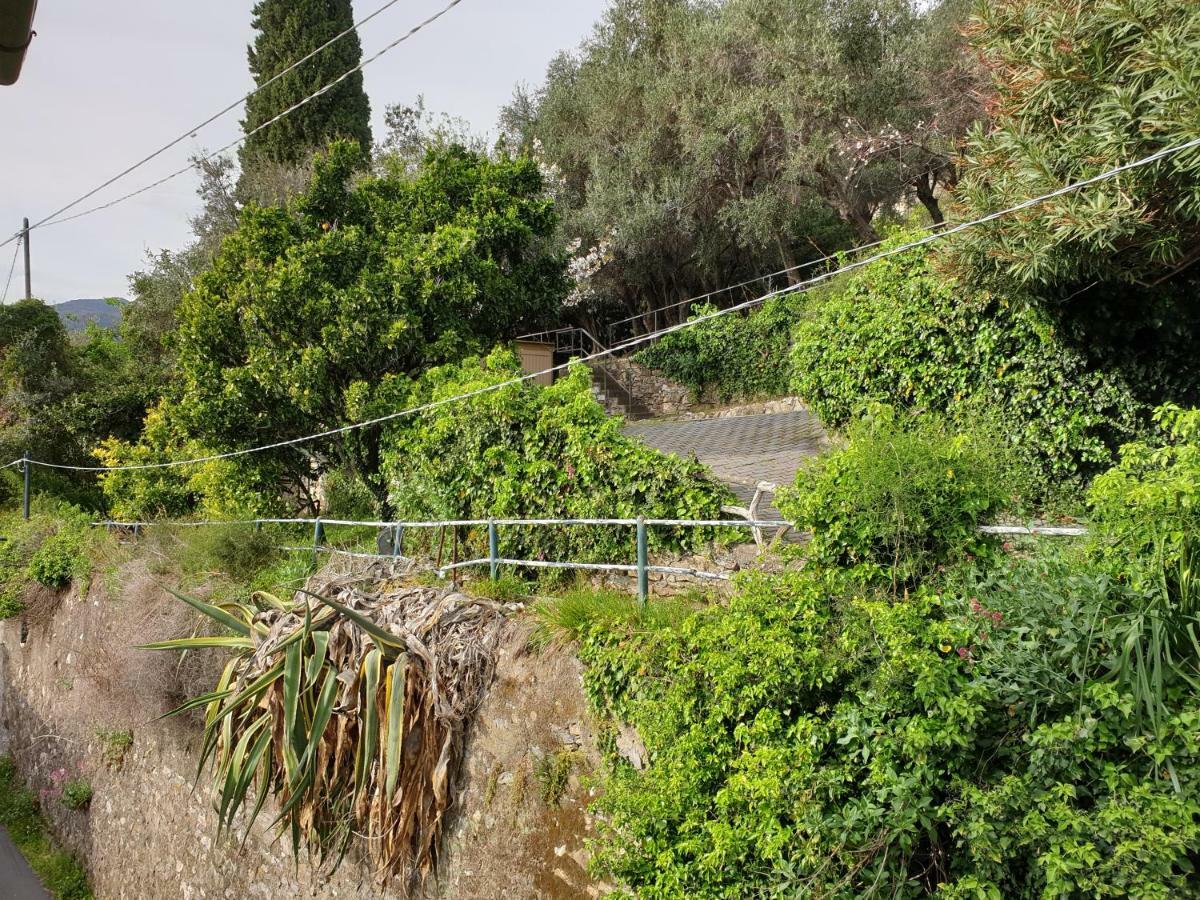Villa San Prospero Camogli Bagian luar foto