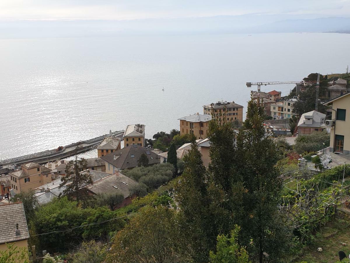 Villa San Prospero Camogli Bagian luar foto