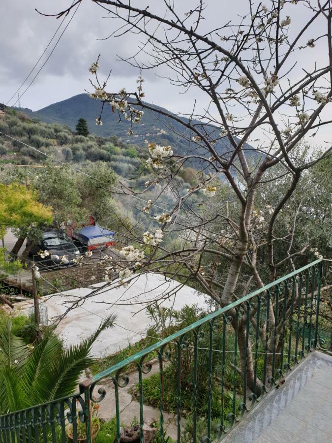Villa San Prospero Camogli Bagian luar foto