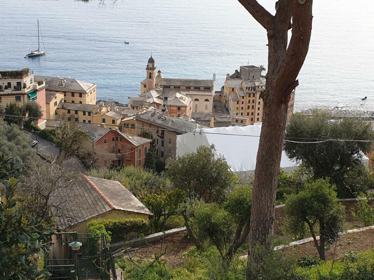 Villa San Prospero Camogli Bagian luar foto