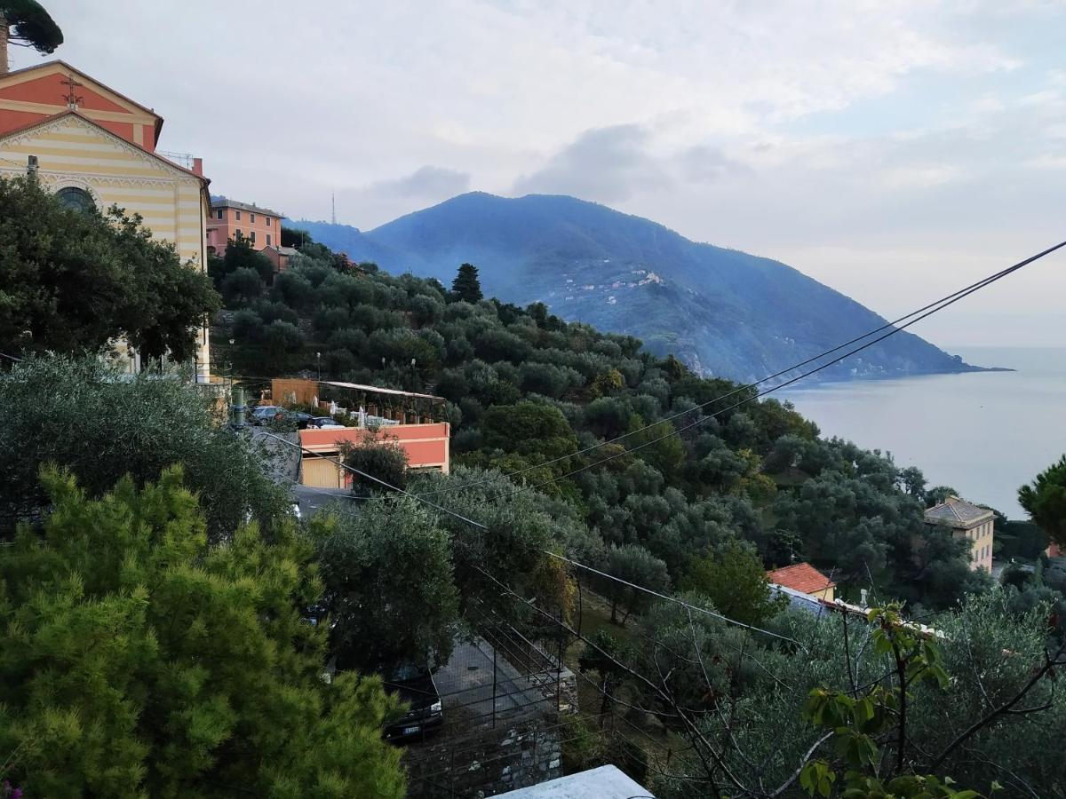 Villa San Prospero Camogli Bagian luar foto