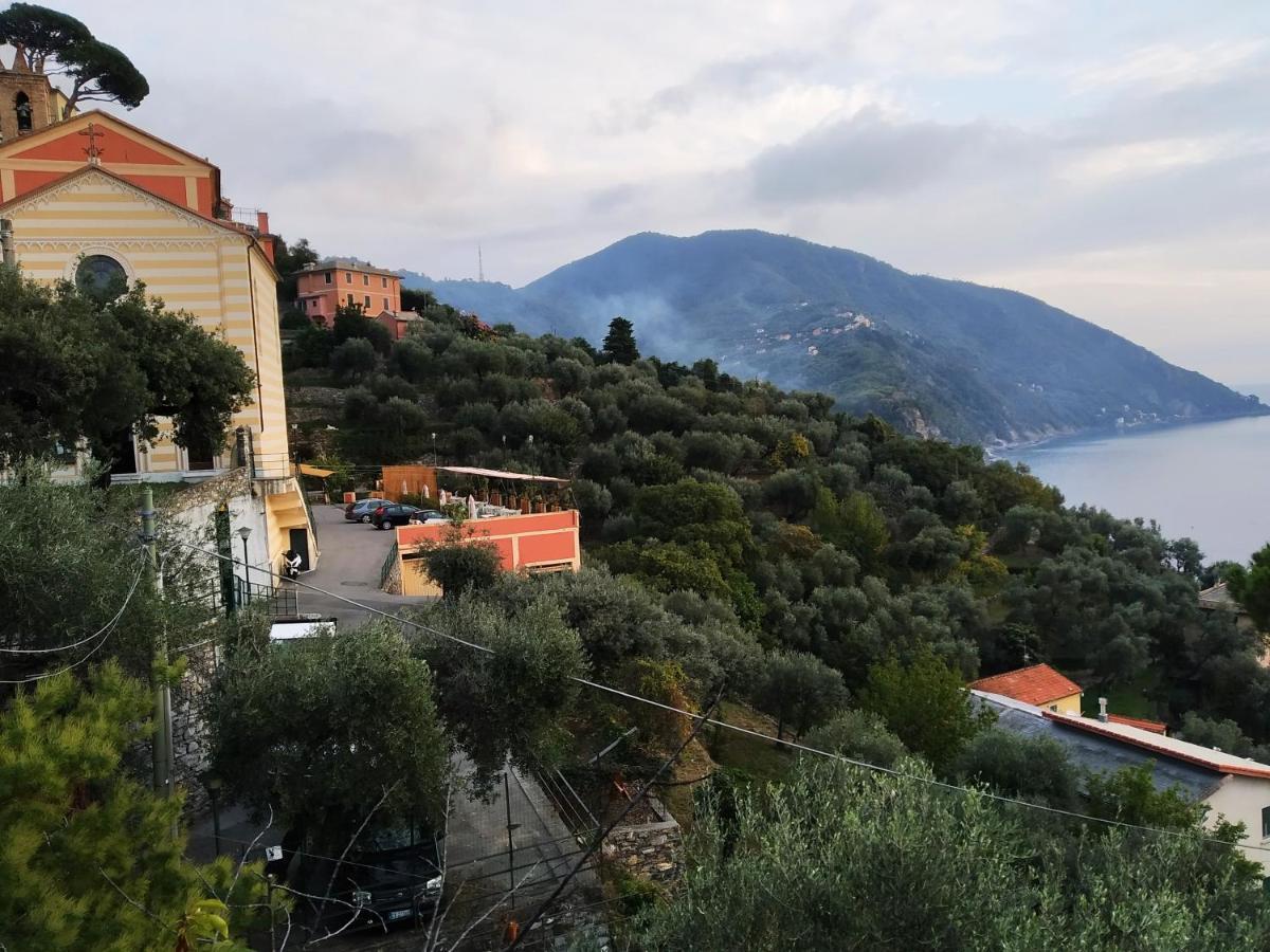 Villa San Prospero Camogli Bagian luar foto
